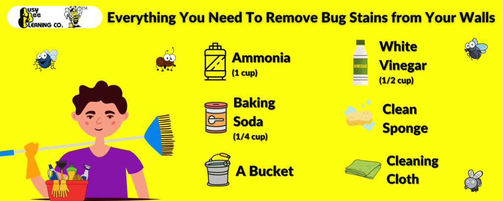 Infographic explaining what you will need to remove bug stains from walls.