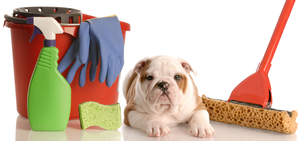 House Cleaning Tips for Pet Owners