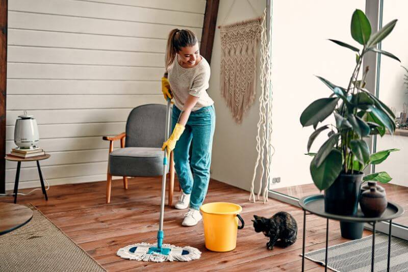 cleaning your home quickly