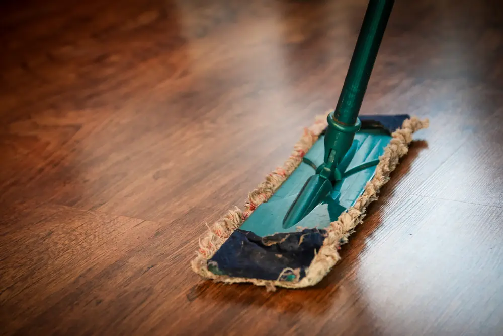 home deep cleaning service, cleaning near me, house cleaners near me, cleaning services near me, house cleaning cost, residential cleaning services, hardwood floors, mopping floors, house cleaning services near me, cleaning companies, future cleanings, services provided, cleaning plan
